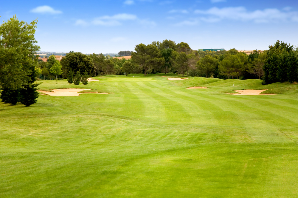 golf course in bright colours on a sunny day with a blue sky